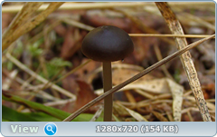0_10416d_e105dbad_orig.png