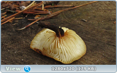 0_107343_4cd23c12_orig.png