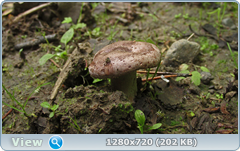 0_10a2ef_87707eea_orig.png