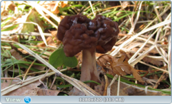 0_e248b_4779d517_orig.png