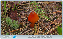 0_eb06c_7208bedf_orig.png