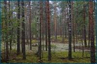0_d5e25_12aabf94_orig.jpg