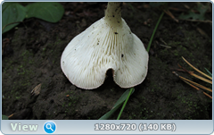 0_e94a8_c899ec4d_orig.png