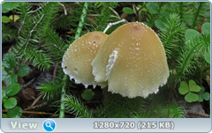 0_ea38c_4e44865b_orig.png