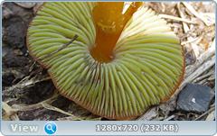 0_eab89_b63e307_orig.png