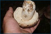 0_d245c_d8a820b8_orig.jpg
