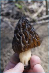 0_cc5e7_5f3cae60_orig.jpg