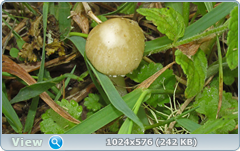 0_e780a_6819212_orig.png
