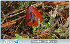 0_eb066_b33bab2d_orig.png