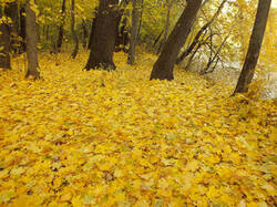 0_c3694_a06169b9_M.jpg