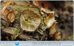 0_f6e0c_9f095d64_orig.png