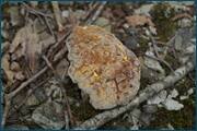 0_d0974_e00c884d_orig.jpg