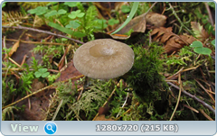 0_ea411_96c23a32_orig.png