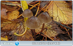 0_f27a4_49c5c852_orig.png