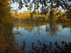0_c368c_4909e979_M.jpg