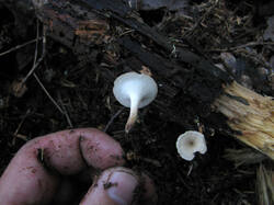 0_6cee4_538022ad_orig