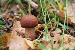 0_c1b03_687cdbf8_orig.jpg