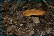 0_d23ae_46d6383d_orig.jpg