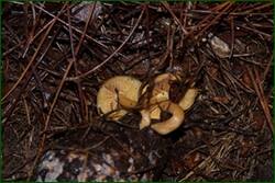 0_f220d_21d54864_orig.jpg