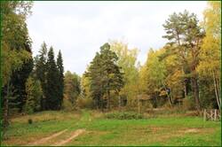 0_12fa13_62f469a9_orig.jpg
