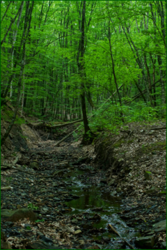 0_e44a5_a2e7c656_orig.png