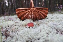 0_12c120_89d1611b_orig.jpg