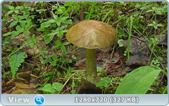 0_10966a_5c152f36_orig.png
