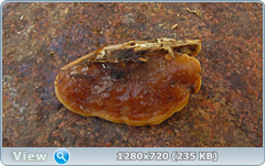 0_1158eb_7f5ab481_orig.png