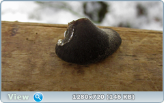 0_11582d_9d93b734_orig.png