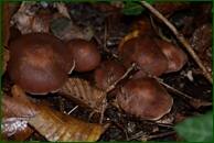 0_ef944_b908be25_orig.jpg