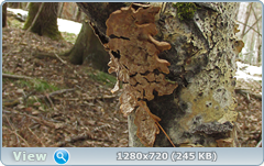 0_10202c_1098a61_orig.png