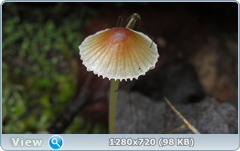 0_10928c_3f51cb1b_orig.png