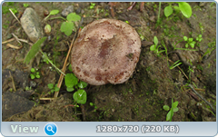 0_10a2ed_6f7c922d_orig.png