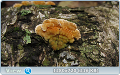0_11221a_db949333_orig.png