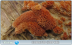 0_102090_653833fe_orig.png