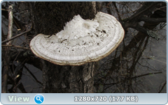 0_102928_751329f2_orig.png
