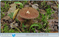 0_10ad06_a8e1c957_orig.png
