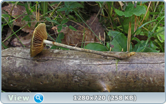 0_1133da_f59c43d9_orig.png