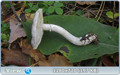 0_1133e6_d28b6d39_orig.png