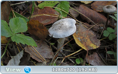 0_1133ee_cb1257fb_orig.png