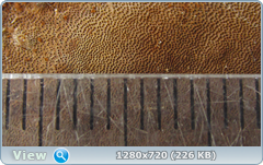 0_115887_f3edf723_orig.png