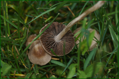 0_e5339_ca1f62aa_orig.png