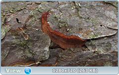 0_1027a9_88a40ad_orig.png