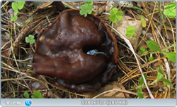 0_10657c_64a2317c_orig.png