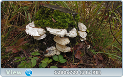 0_11501b_dced85b0_orig.png