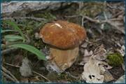 0_d0972_c86efb53_orig.jpg