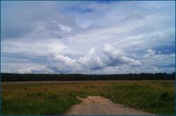 0_d3d22_8990251d_orig.jpg