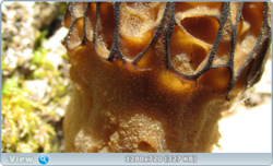 0_e3776_d9ac59de_orig.png