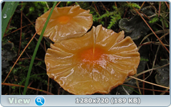 0_ead30_39fe87a2_orig.png