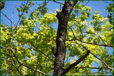 0_f62f6_41cf4b27_orig.jpg
